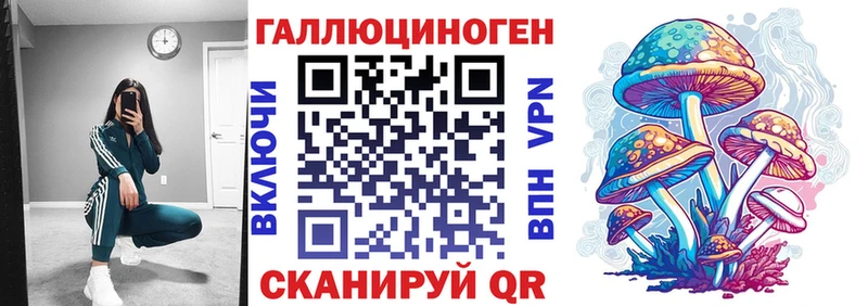 Купить закладки  Касли  Галлюциногенные грибы Psilocybine cubensis 